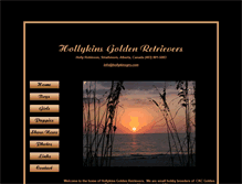 Tablet Screenshot of hollykinsgrs.com